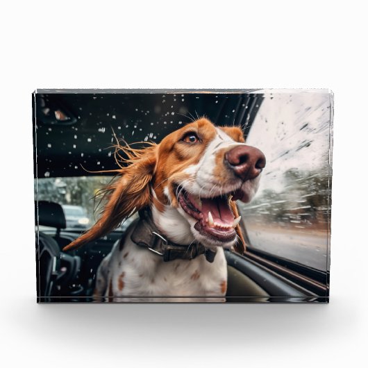 Opgewonden hond op regenachtige autorit art print fotoblokken (Voorkant)