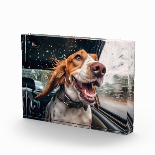 Opgewonden hond op regenachtige autorit art print fotoblokken (Rechts)