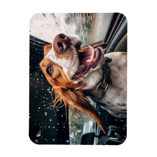 Opgewonden hond op regenachtige autorit art print magneet (Verticaal)