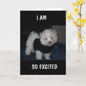 OPGEWONDEN HOND STUURT JE EEN *9e VERJAARDAGS* KAA Kaart (Gele Bloem)