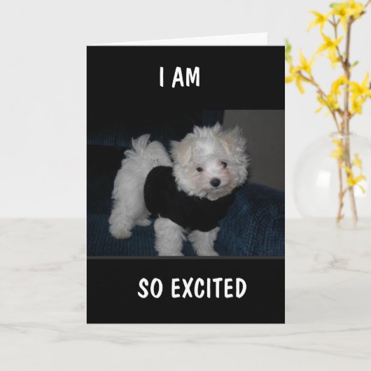 OPGEWONDEN HOND STUURT JE EEN *9e VERJAARDAGS* KAA Kaart (Gele Bloem)