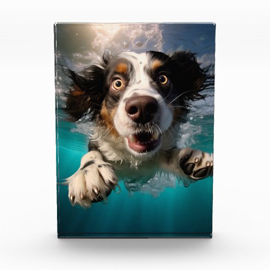 Opgewonden hond zwemmen onder water ontwerp fotoblokken (Voorkant)