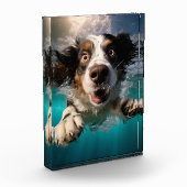 Opgewonden hond zwemmen onder water ontwerp fotoblokken (Links)