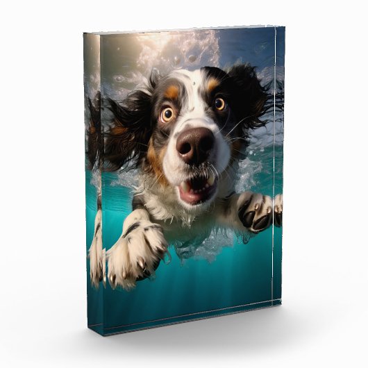 Opgewonden hond zwemmen onder water ontwerp fotoblokken (Links)