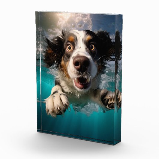 Opgewonden hond zwemmen onder water ontwerp fotoblokken (Rechts)