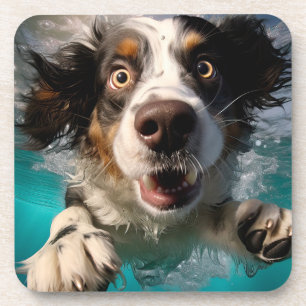 Opgewonden Hond Zwemt Onderwater Ontwerp Bier Onderzetter