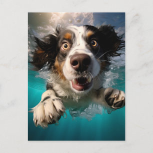 Opgewonden Hond Zwemt Onderwater Ontwerp Briefkaart