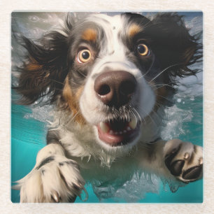 Opgewonden Hond Zwemt Onderwater Ontwerp Glazen Onderzetter