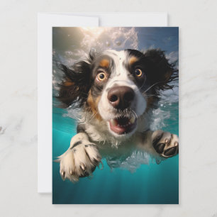 Opgewonden Hond Zwemt Onderwater Ontwerp Kaart