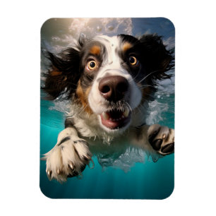 Opgewonden Hond Zwemt Onderwater Ontwerp Magneet