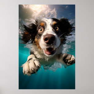 Opgewonden hond zwemt onderwater ontwerp poster