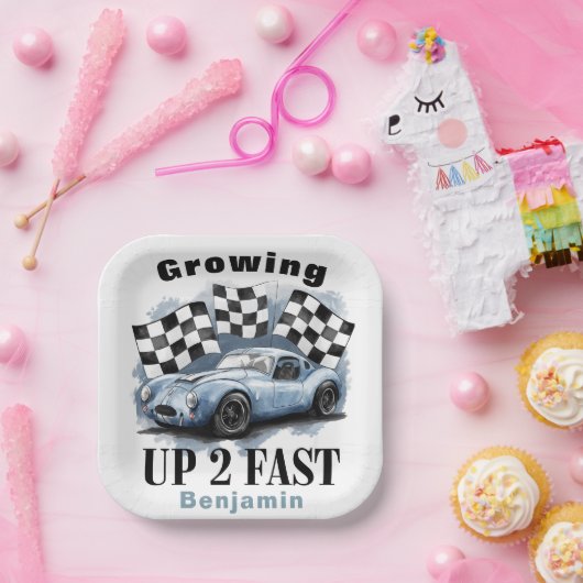 Opgroeien 2 Fast Birthday Party Custom Papieren Bordje (Feest)