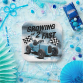 Opgroeien 2 snelle verjaardag papieren bordje (Feest)