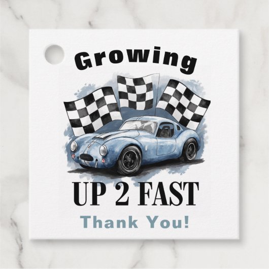 Opgroeien 2 snelle verjaardagsfeestje bedankt bedankjes labels (Voorkant)