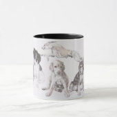 Opgroeien Saluki Mok (Midden)