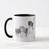 Opgroeien Saluki Mok (Links)