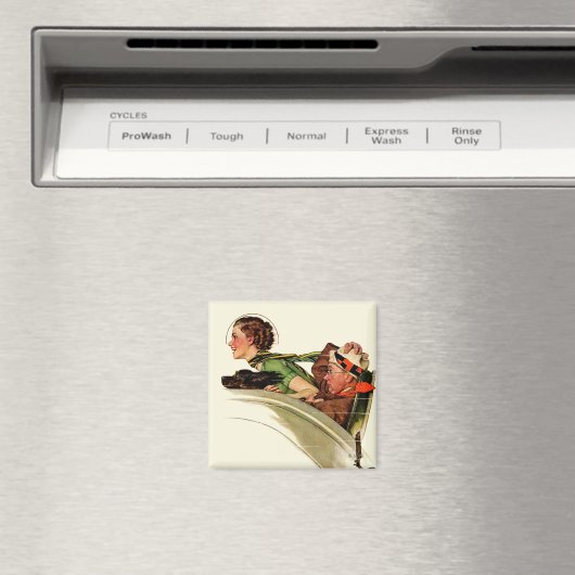 Opheldering Magneet (Insitu (Vaatwasser))