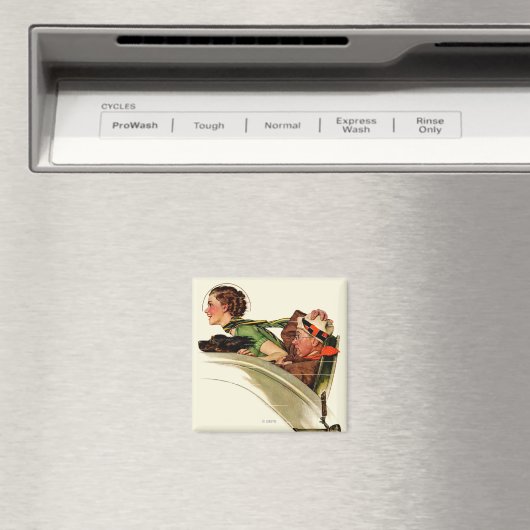 Opheldering Magneet (Insitu (Vaatwasser))