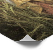 Ophelia 1910 - Poster / afdrukken (Hoek)