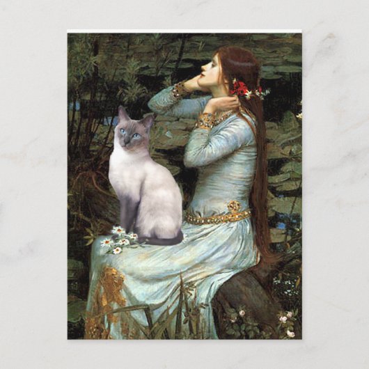 Ophelia - blauwpunt Siamees kat Briefkaart (Voorkant)