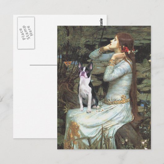 Ophelia & Boston Terrier Briefkaart (Voorkant / Achterkant)