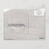 Ophelia door John Everett Millais Briefkaart (Achterkant)