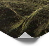 Ophelia door John William Waterhouse - 1910 Poster (Hoek)