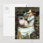 Ophelia - Himalayakat 7 Briefkaart (Voorkant / Achterkant)