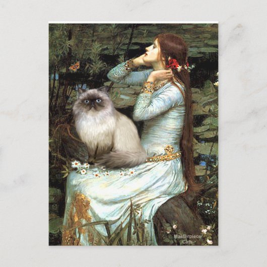 Ophelia - Himalayakat 7 Briefkaart (Voorkant)