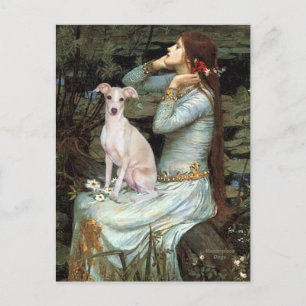 Ophelia - Italiaanse windhond 5 Briefkaart