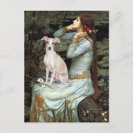 Ophelia - Italiaanse windhond 5 Briefkaart (Voorkant)