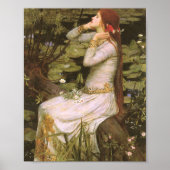 Ophelia John William Waterhouse Poster (Voorkant)