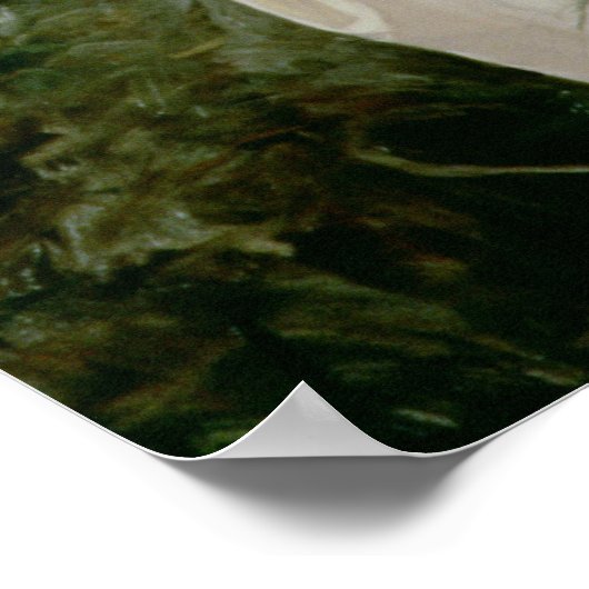 Ophelia (olie op canvas) poster (Hoek)