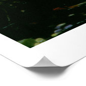 Ophelia (olie op canvas) poster (Hoek)