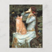 Ophelia - Oranje Tabby cat 46 Briefkaart (Voorkant)