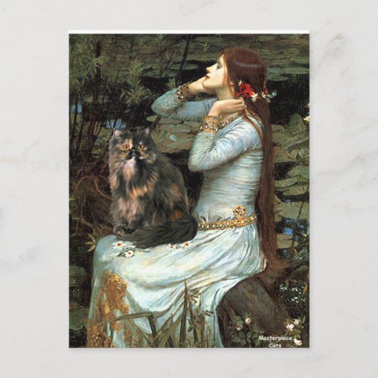 Ophelia - Perzische schildpadkat Briefkaart (Voorkant)