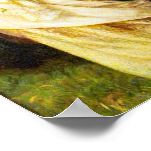 Ophelia Poster (Hoek)