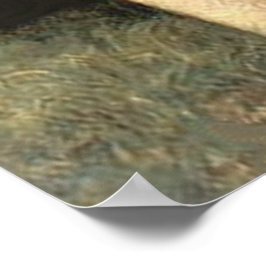 Ophelia Poster (Hoek)