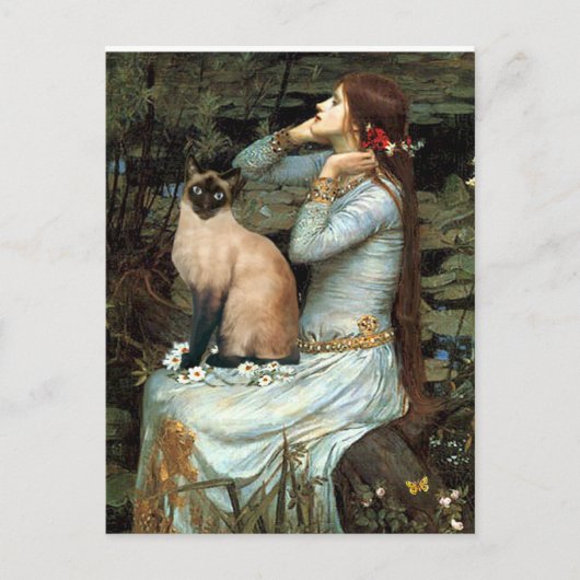 Ophelia - Seal Point Siamees Kat Briefkaart (Voorkant)