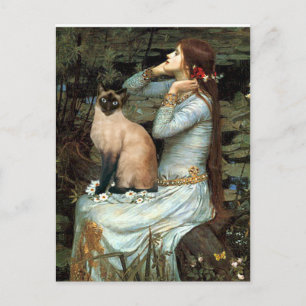 Ophelia - Seal Point Siamese Cat Briefkaart
