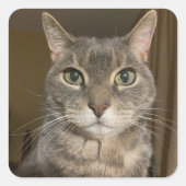 Ophelia Sticker (Voorkant)