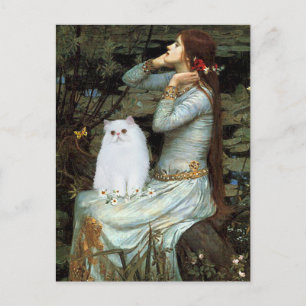 Ophelia - White Persian Kitten Briefkaart
