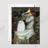 Ophelia - Witte Perzische kitten Briefkaart (Voorkant / Achterkant)