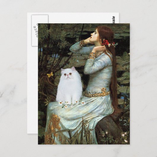 Ophelia - Witte Perzische kitten Briefkaart (Voorkant / Achterkant)