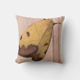 Ophiusa tirhaca, de groene draak kussen