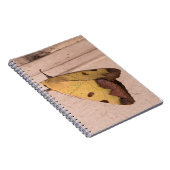 Ophiusa tirhaca, de groene draak notitieboek (Rechterzijde)