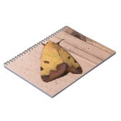 Ophiusa tirhaca, de groene draak notitieboek (Linkerzijde)