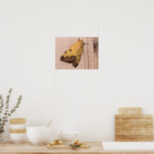 Ophiusa tirhaca, de groene draak poster (Keuken)