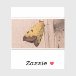 Ophiusa tirhaca, de groene draak sticker