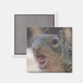 Opinionated Eekhoorn Magnet (Voorkant / Achterkant)